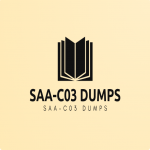 SAA-C03 Dumps